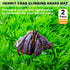 2 PCS Hermit Crab Climbing Toys Faux Grass Mat 10 x 10 Inch Fake Turf Hermit Crab Climbing Wall Fish Tank Artificial Plant Decorations Hermit Crab...