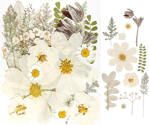 50Pcs Dried Pressed Flowers Real Pressed Flowers Natural Dry Leaves Bulk Mixed Colorful Herbs Kit with Tweezers for Scrapbooking DIY Candle Jewelr...