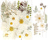 50Pcs Dried Pressed Flowers Real Pressed Flowers Natural Dry Leaves Bulk Mixed Colorful Herbs Kit with Tweezers for Scrapbooking DIY Candle Jewelr...