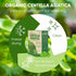 NMPT Centella Asiatica Leaf Tea, 100% Hand Pick, Organic Herbal Tea, 40 Count, Freeze Drying, Gluten Free, Dairy Free, No Sugar Added, Energy Boos...