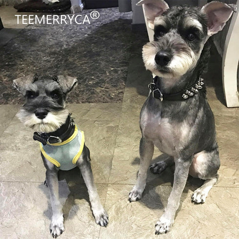 TEEMERRYCA Adjustable Microfiber Leather Spiked Studded Dog Collars with a Squeak Ball Gift for Small Medium Large Pets Like Cats/Pit Bull/Bulldog...