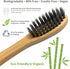 BPA-FREE, Biodegradable, Organic Bamboo Toothbrush - Charcoal Infused Naturally Whitening Bristles, Pressed Glue-Free Bristles, Environmentally Fr...
