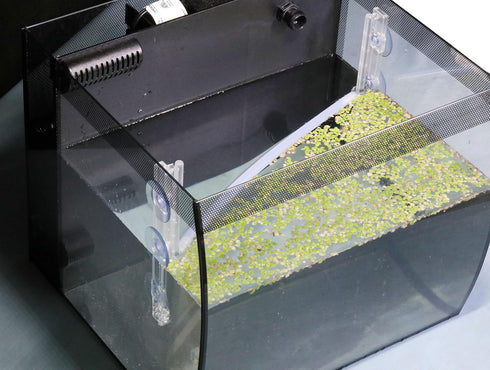 Aquarium Floating Plant Corral, As The Water Level Risers and Falls Automatically...