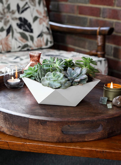 The HC Companies 6 Inch Deco Faceted Plastic Succulent Bowl - Decorative Indoor Planter with Drainage Hole, Artisan Taupe...