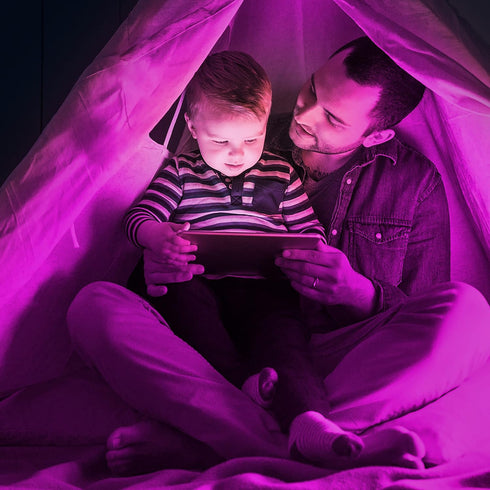 SYLVANIA LED Purple Glass Filament A19 Light Bulb, Dimmable, Efficient 4.5W, E26 Medium Base, 1 pack...