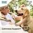 Calming Drops for Female Dogs - Valerian Root Calming Care for Dogs - Liquid Alternative to Calming Chews for Dogs' Composure - Herbal Dog Separat...