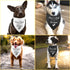2 Pack Mom&dad are Getting Me a Human Dog Bandana Pregnancy Announcement Gender Reveal Baby Announcements Ideas Photo Prop Pet Scarf Pet Accessori...