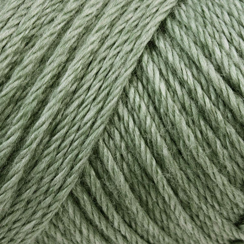 Caron Bulk Buy Simply Soft Heather Yarn (3-Pack) Woodland H9700H-9503...