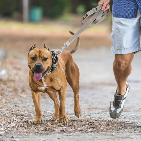 Fida 5 FT Heavy Duty Dog Leash with 2 Comfortable Padded Handles, Traffic Handle & Advanced Easy Snap Hook, Reflective Walking Lead for Large, Med...