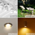Simba Lighting Halogen MR16 20W 12V Light Bulbs (10 Pack) for Landscape, Track Lights, Fiber Optics, Desk Lamps, BAB C Spotlights with Glass Cover...