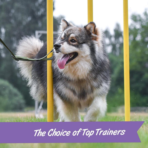 Pet Botanics Training Rewards, Mini Puppy Bites Low Calorie Soft & Chewy with DHA, Ceddar, 4 oz. (Pack of 1)...