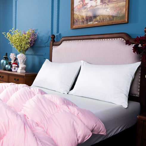 NTBAY Egyptian Cotton Queen Pillowcases - Set of 2, 500 Thread Count Cotton Pillowcases - Soft and Breathable Envelope Closure Pillow Cases - 20x3...