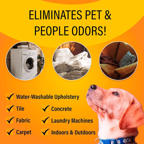 EnviroCare Multi-Surface Concentrate. Eliminates Toughest Surface Odors from Pee, Poo, Vomit, Secretions, Dander, Marking, Garbage & More. Makes 4...