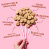 HighKey Low Carb Snickerdoodle Cookie - Keto Snacks Diabetic Desserts Diet Friendly Food Gluten Free Zero Carbs Treat Cinnamon Sweets Healthy Snac...