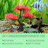Aquarium Plants Decoration, Plastic Pink Cherry Blossom Tree & Grass Ornament, Tank or Aquarium Decorations, Suitable for Reptile Hermit Crab Liza...