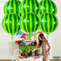 KatchOn, Big 22 Inch Watermelon Balloons - Pack of 6 | One In A Melon Party Decorations | 4D Round Watermelon Mylar Balloon, Watermelon Decoration...