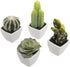 MyGift Set of 4 Assorted Miniature Artificial Succulent & Cactus Plants in White Cube-Shaped Pots...