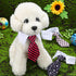4 Pieces Cat Dog Tie with Collar Adjustable Puppy Pets Formal Necktie Collars Cat Dogs Bow Ties for Cat Small Dogs Grooming Costume Accessories...