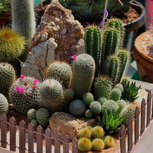 Miniature Fairy Garden Fence, 2 Pcs Mini Fence for Fairy Garden, 40 Inch Fairy Garden Fence and Gate, Brown and White DIY Wood Picket Fence, Mini ...