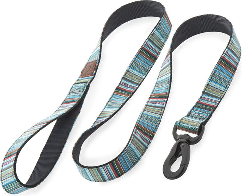 Embark Urban Dog Leashes - Colorful, Strong and Sturdy Nylon Dog Leashes for Small Dogs, Dog Leashes Medium Dogs and Dog Leashes Large Breed Dogs,...
