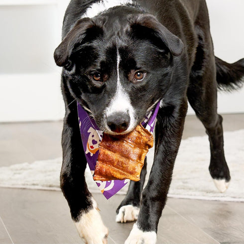 USA Beefhide Chips Dog Chew Treats - Chicken & Beef Flavor, 12oz/1 Pack...