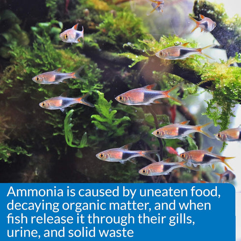 API AMMONIA 130-Test Freshwater and Saltwater Aquarium Water Test Kit...