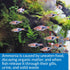 API AMMONIA 130-Test Freshwater and Saltwater Aquarium Water Test Kit...