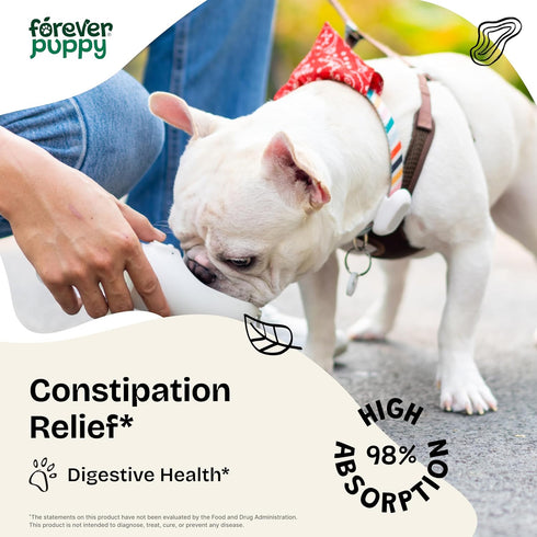 Constipation Relief for Dogs - Stool Ease Dog Supplements - Sea Moss for All Breeds & Sizes - Slippery Elm for Digestive Health - Dog Fiber Vitami...