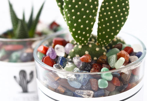 DUQGUHO Rose Quartz Crystals Chip Bulk Pink Rocks for Plants Succulent Flowerpot Vase Filler Decorative Rocks Terrarium Supplies Little Fish Tank ...