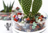 DUQGUHO Rose Quartz Crystals Chip Bulk Pink Rocks for Plants Succulent Flowerpot Vase Filler Decorative Rocks Terrarium Supplies Little Fish Tank ...