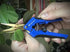Happy Hydro - Trimming Scissors - Curved Tip - Titanium Coated Blades with Spring-Loaded Comfort Grip Handles - 4 Pack...