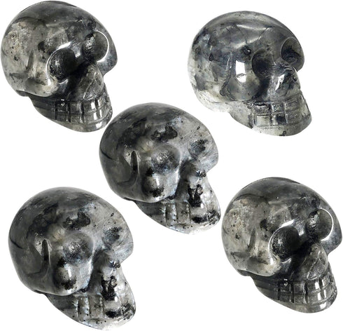 Mini 1" Crystal Human Skull Head Statue Figurine, Hand Carved Pocket Stone Halloween Sculptures Decoration Healing Reiki, Pack of 5, Black Labrado...