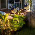 Solar Watering Can with Lights - Outdoor Garden Decor, Waterproof Hanging Lantern Landscape Lights for Yard, Patio, Pathway - Solar Lights Outdoor...