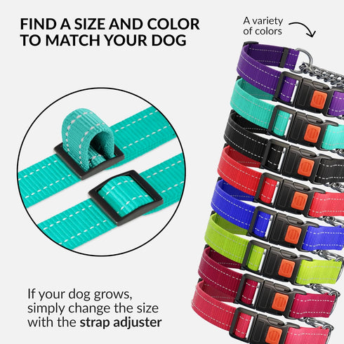 CollarDirect Martingale Dog Collar with Stainless Steel Chain and Quick Release Buckle - Reflective Collar for Large, Medium, Small Dogs - Mint Gr...