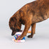Fringe Studio Plush Dog Toy Set, Interactive Hide and Seek Play, Eat More Hole Foods, Pet Shop Collection (289235)...