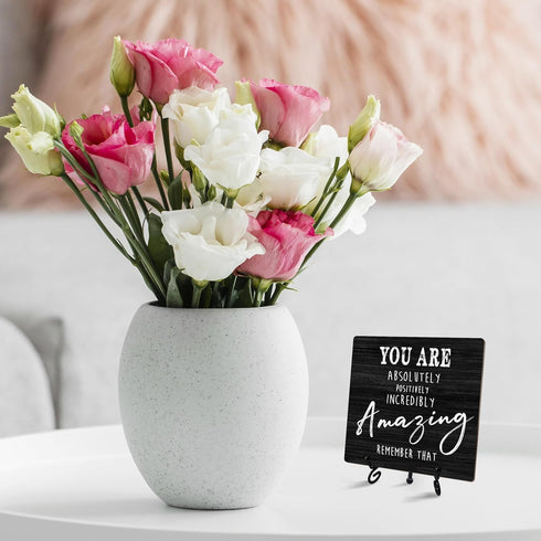 Inspirational Desk Decor, You Are Absolutely Positively Incredibly Amazing Sign With Iron Stand, Encouragement Gifts For Women Men Friends, Motiva...