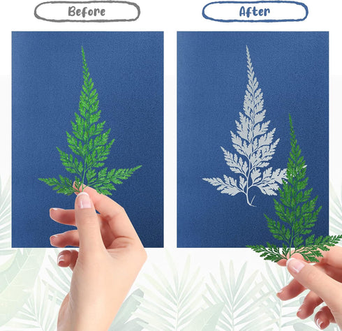38 Sheets Cyanotype Paper A5 Sun Print Paper Kit with 2 Clear Acrylic Sheets High Sensitivity Solar Drawing Paper Nature Sun Printing Paper for Ad...
