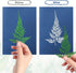 38 Sheets Cyanotype Paper A5 Sun Print Paper Kit with 2 Clear Acrylic Sheets High Sensitivity Solar Drawing Paper Nature Sun Printing Paper for Ad...