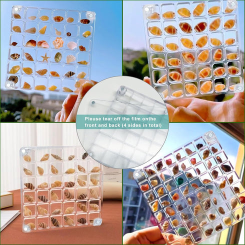 Acrylic Magnetic Seashell Display Box 36 Grids Seashell Storage Box Display Case Decorative Seashell Starfish Trinket, Small Craft Organizers Cont...