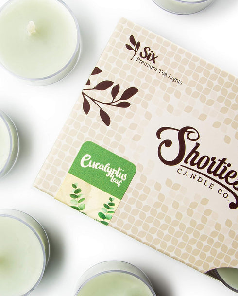 Eucalyptus Leaf Premium Tealight Candles Bulk Pack - Highly Scented with Essential & Natural Oils - 24 Green Tea Lights - Beautiful Candlelight - ...