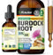 Burdock Root Tincture - Antioxidant Support Liquid Supplement - Burdock Root Organic Extract - Alcohol and Sugar Free - Vegan Drops 2 Fl.Oz....