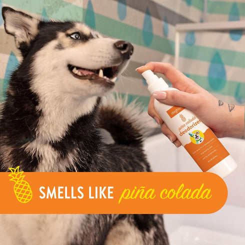 Deodorizer Spray for Pets | 8oz Long-Lasting Piña Colada Odor Eliminator for Dogs | Gentle Water - Based Pet Deodorizing Spray...