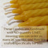 100% Pure Beeswax Spiral Twist Taper Candles (Set of 6) Organic - 8 Inches Tall, 3/4 Inch Diameter, Hand Made...
