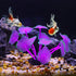 VOCOSTE Soft Silicone Glowing Aquarium Mushroom Coral, Fluorescence Aquatic Artificial Coral for Fish Tank Decoration, Purple...