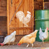 BENECREAT Large Rooster Pattern Plastic Painting Stencils, 12x12inch Farm Animals Poultry Drawing Template for Painting on Floors, Walls, Doors, T...