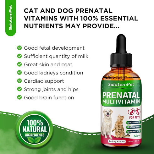 Dog Prenatal Vitamins | Pregnant Cat Supplies | Prenatal Vitamins for Dogs | Product for Pregnant Cat | Prenatal Dog Vitamins | Vitamins for Pregn...