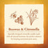 Candle by the Hour 80-Hour Citronella Candle Refill, Eco-friendly Natural Beeswax with Cotton Wick,Yellow...