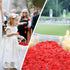 Artificial Silk Rose Petals for Romantic Night, Wedding, Party, Anniversary Flower Decorations (Red, 3000 PCS)...