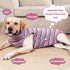 Coppthinktu Dog Recovery Suit Dog Surgery Recovery Suit Female, Dog Onesies Dog Surgical Recovery Suit for Small Medium Large Dogs, Pet Recovery S...