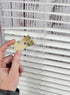 BlindDIY™ Clear Mini Blind Slat Repair Kit-Clear Blind Repair Tabs with String Holes- Clear Blind Fixers-Horizontal Blinds Replacement Slats...